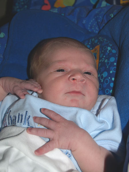1 week old