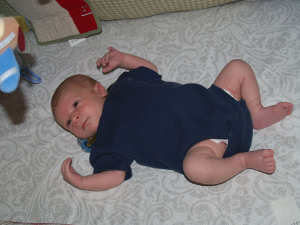 3 weeks old