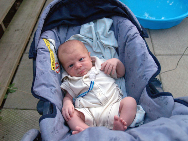 3-1/2 weeks old