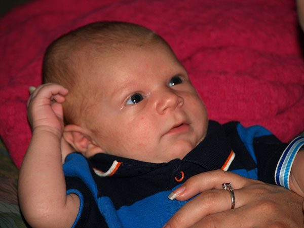4 weeks old